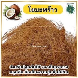 ใยมะพร้าว วัสดุคลุมดินจากธรรมชาติ100% สำหรับรองก้นกระถาง คลุมดิน ช่วยกักเก็บความชุ่มชื้นให้ดิน พร้อมส่ง!!