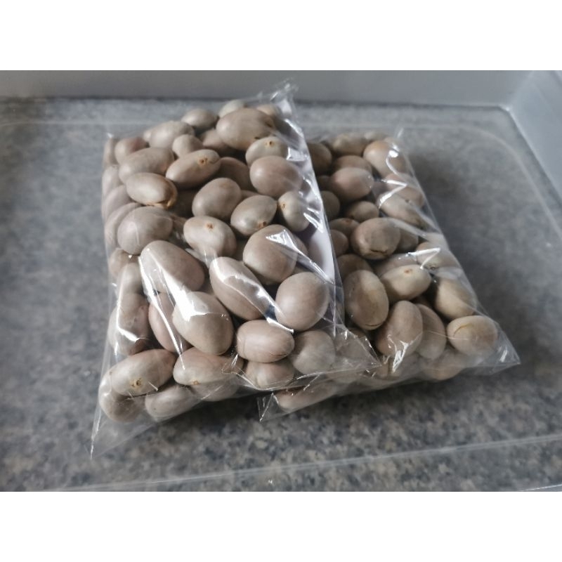 เม็ด​ขนุนดิบ​ เมล็ดขนุนดิบ​สำหรับต้มและปลูก​-1KG-พร้อมส่ง