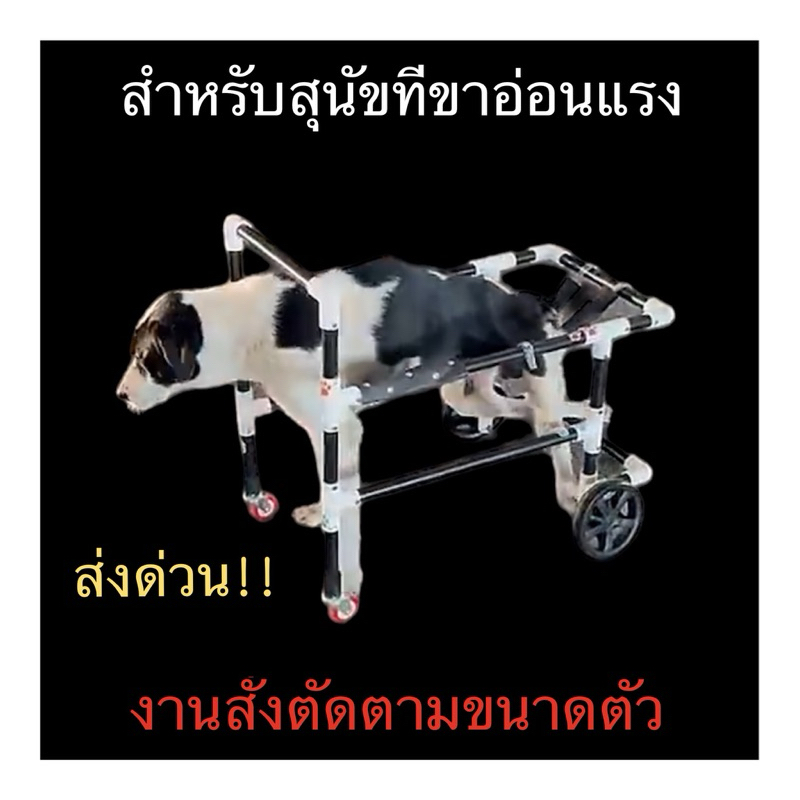 วีลแชร์สำหรับสุนัขที่ขาอ่อนแรง สี่ล้อช่วยพยุงเดิน