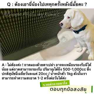 พร้อมส่ง ถาดฉี่สุนัข นวัตกรรมใหม่ ไม่ต้องใช้แผ่นซับอีกต่อไป itemใหม่ ที่ไม่ควรพลาด