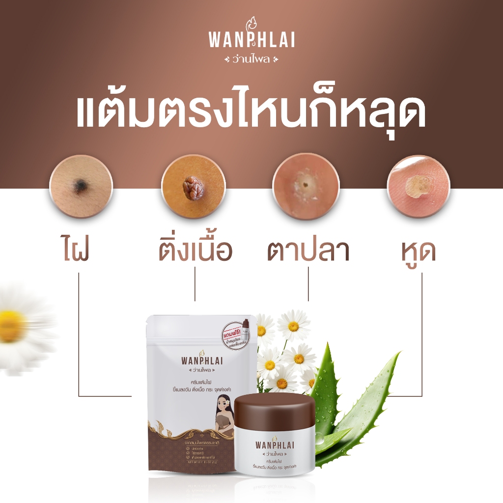 [ของแท้] ครีมไฝว่านไพล ขี้แมลงวัน ติ่งเนื้อ หูด ตาปลา แก้ปัญหา กระ สิวหิน ครีมแต้มไฝว่านไพล ไฝ หูด จี้ไฝ แต้มไฝ