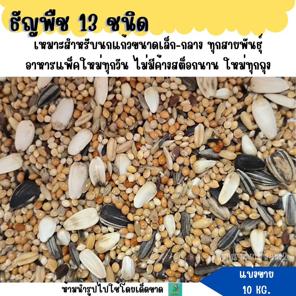 (แบ่งขาย 10 KG. ) ธัญพืช 13 ชนิด อาหารนกแก้ว