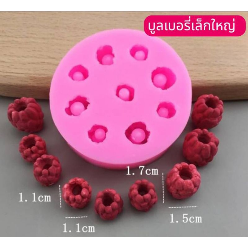 แม่พิมพ์ฟองดอง ทำขนมวุ้น อลัว สัมปันนี ขนมไทยต่างๆรูป แผ่นบลูเบอรี่เล็กใหญ่