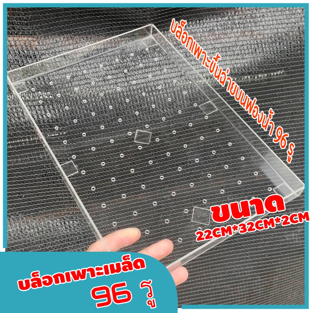 บล็อกเพาะผักสำหรับฟองน้ำ 96 รู