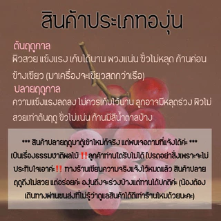 ส่งฟรี‼️สินค้าเข้าใหม่ 17/8/69‼️ Sweet Scarlet Grape 🍇🇨🇳 องุ่นแดงไร้เมล็ดลิ้นจี่กล่องแดงนกแก้ว🛳️