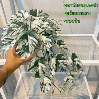 (พร้อมส่ง)เถาวัลย์ใบไม้ประดิษฐ์ เถาวัลย์ไม้เลื้อย เถาวัลย์ต้นไม้เสมือนจริง ใช้ตกแต่งฝาผนังบ้าน ร้านอาหารคาเฟ่