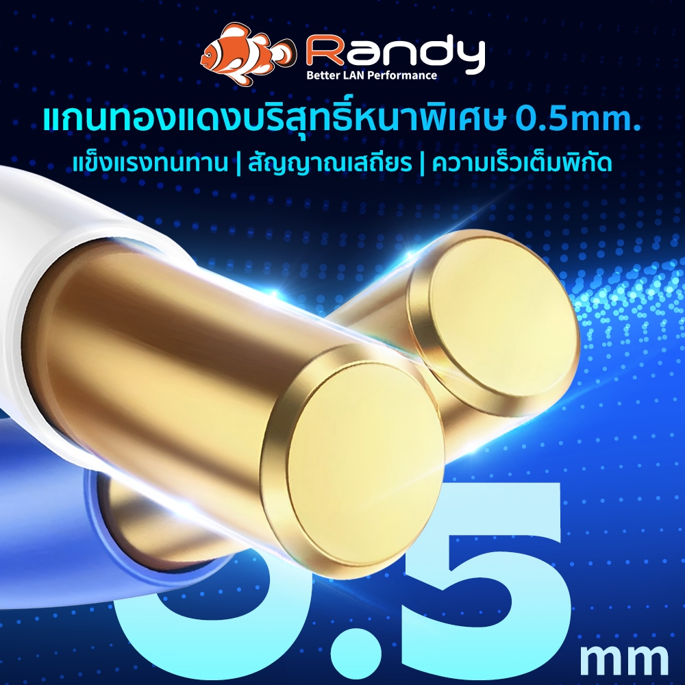 RANDY [CAT5E-100] สายเคเบิลอีเธอร์เน็ต ความเร็วสูง รองรับ 100Mbps -100เมตร สำหรับภายในอาคาร สายสีขาว