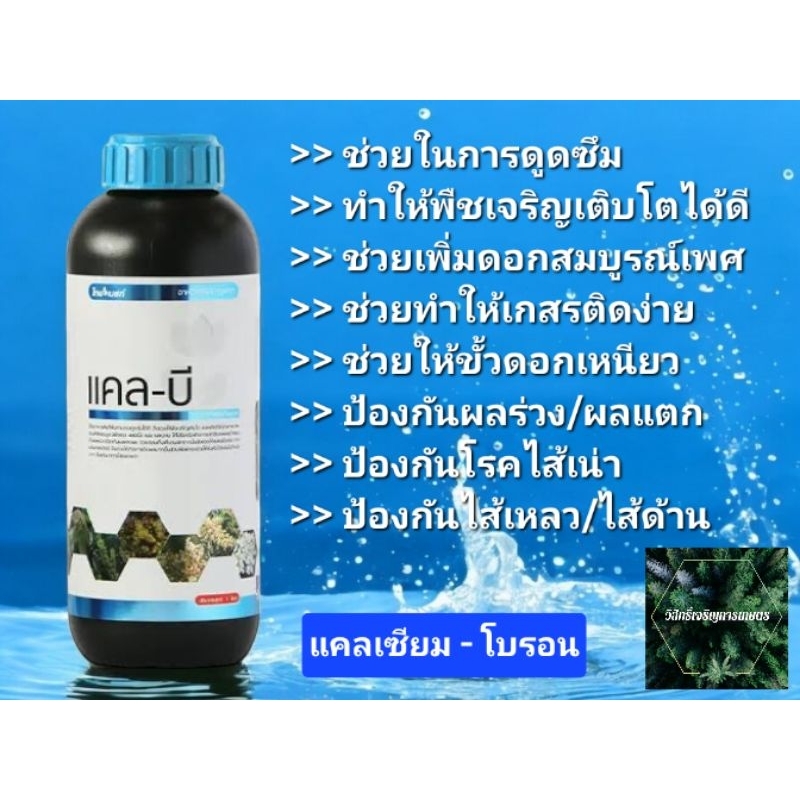 แคลบี แคลเซียม-โบรอน-แมกนีเซียม (เกสรติดง่าย/ป้องกันผลร่วง/ผลแตก/ไส้เน่า)