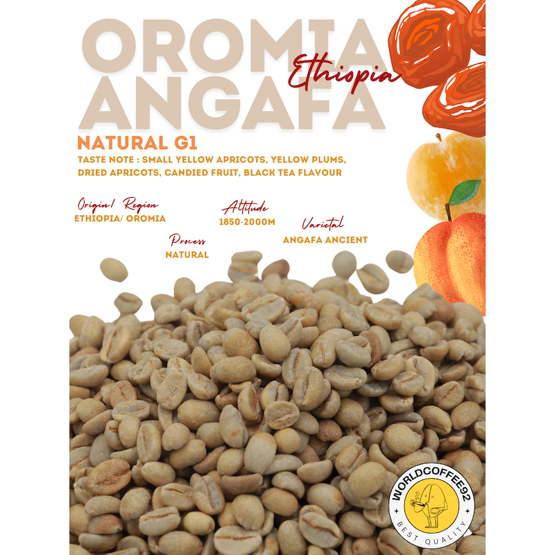 🚚พร้อมส่ง💯 เมล็ดกาแฟดิบ Oromia Angafa ethiopia G1 natural process/ เมล็ดกาแฟนอก/ เมล็ดกาแฟสารเอธิโอเ