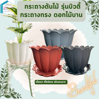 กระถางต้นไม้ รุ่นบิวตี้ กระถางทรงดอกไม้บาน ขนาด 12 นิ้ว พร้อมจาน เนื้อหนา แข็งแรง