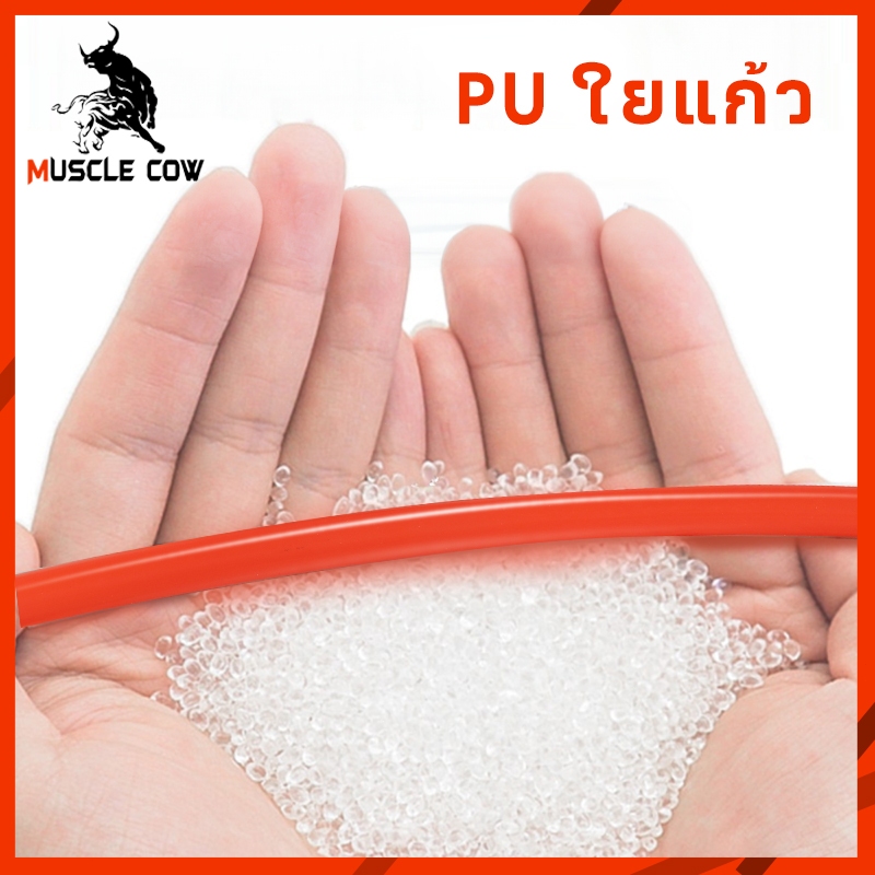 MUSCLE COW สายลม PE สายลมสำเร็จรูป อย่างดี ขนาด 8x5 มม ความยาว 8/10/12/15 เมตร สายลมแรงดันสูง พร้อมหัวต่อคอปเปอร์ 2 ด้าน - รูปที่ 6