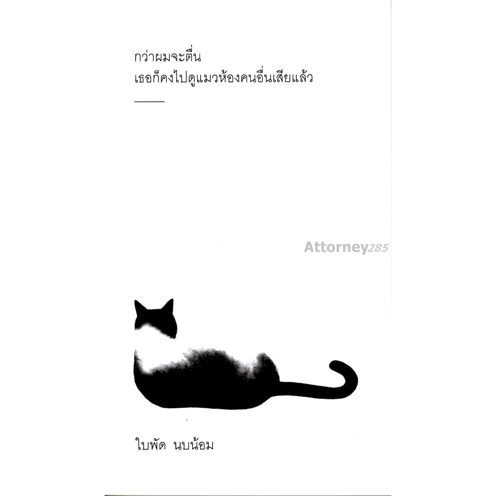 กว่าผมจะตื่น เธอก็คงไปดูแมวห้องคนอื่นเสียแล้ว (นิยาย)