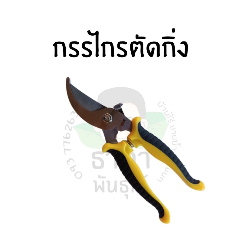 กรรไกรตัดกิ่ง กรรไกรตัดกิ่งไม้ กรรไกรตัดกิ่ง SK5 ทำสวน กรรไกรตัดแต่งกิ่งไม้ เครื่องมือจัดทำสวน