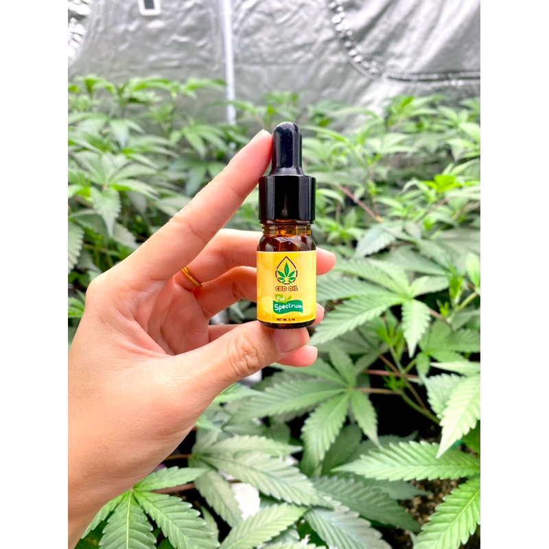 น้ำมันซีบีออย น้ำมันสมุนไพรสูตรเข้มข้น Oil ขนาด5ML/10ML