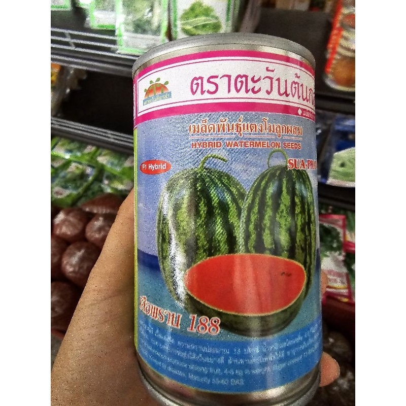 เมล็ดแตงโม เสือพราน 188 F1 ขนาด 50 กรัม ตราตะวันต้นกล้า เนื้อแดง ทนต่อการขนส่ง น้ำหนักผล4-6 กก.
