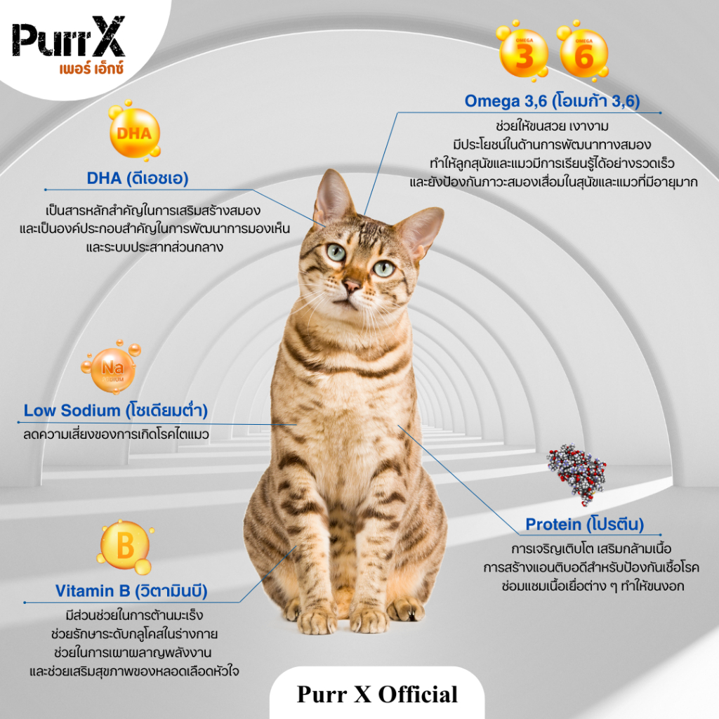 【3 แถม 1 คละได้ 】Purr X ขนมฟรีซดรายเกรดพรีเมียม สูตรเนื้อปลาแซลมอน ขนาด 40 กรัม Freeze Dried Salmon 40 g. - รูปที่ 3