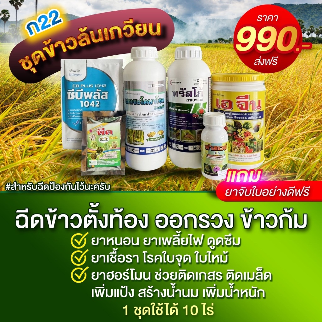 ชุดข้าวล้นเกวียน (ก22) ยาฉีดช่วงข้าวตั้งท้อง และออกรวง 1 ชุดฉีดได้ 10 ไร่