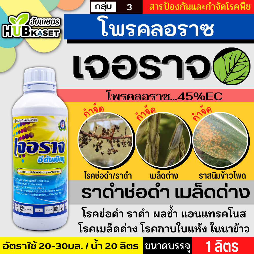เจอราจ 1ลิตร (โพรคลอราช) ป้องกันเชื้อรา ใบไหม้ ใบจุด ราดำช่อดำ เมล็ดด่าง แอนแทรคโนส