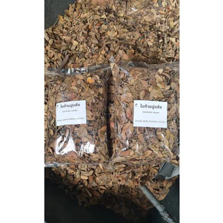 ใบก้ามปูแห้ง 300 g. คุณภาพสูง ใช้ผสมดิน เร่งการแตกยอด ใบเขียว ต้นไม้สมบูรณ์ Samenea Leaves