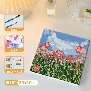 ส่งมอบทันที 20X20ซม ภาพระบายสีตามตัวเลข ขึงเฟรมไม้พร้อมอุปกรณ์ ขนาด ฝึกสมาธิ ของขวัญ DIY ภาพวาดสีน้ำมันดิจิตอลใส่กรอบ