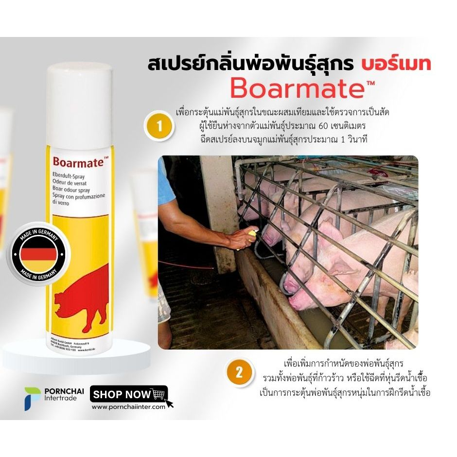 ของแท้100%!!! สเปรย์กลิ่นฟีโรโมนพ่อพันธุ์สุกร บอร์เมท Boarmate Spray ขนาด 250 มล. ใช้ขณะผสมเทียม