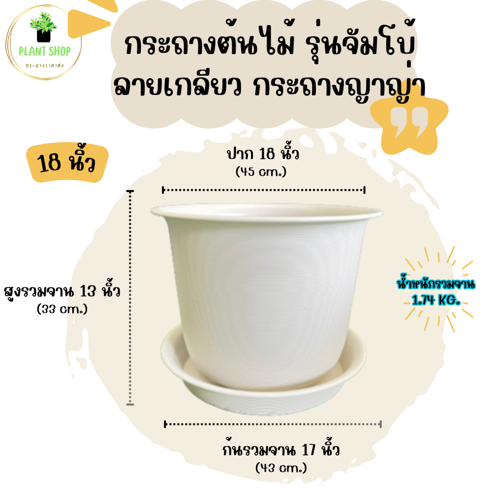 กระถางต้นไม้ รุ่นจัมโบ้ ลายเกลียว กระถางญาญ่า กระถางมินิมอล พร้อมจาน ขนาด 18 นิ้ว ราคา ถูกที่สุด ดีลบีเคเค รูปภาพหลัก