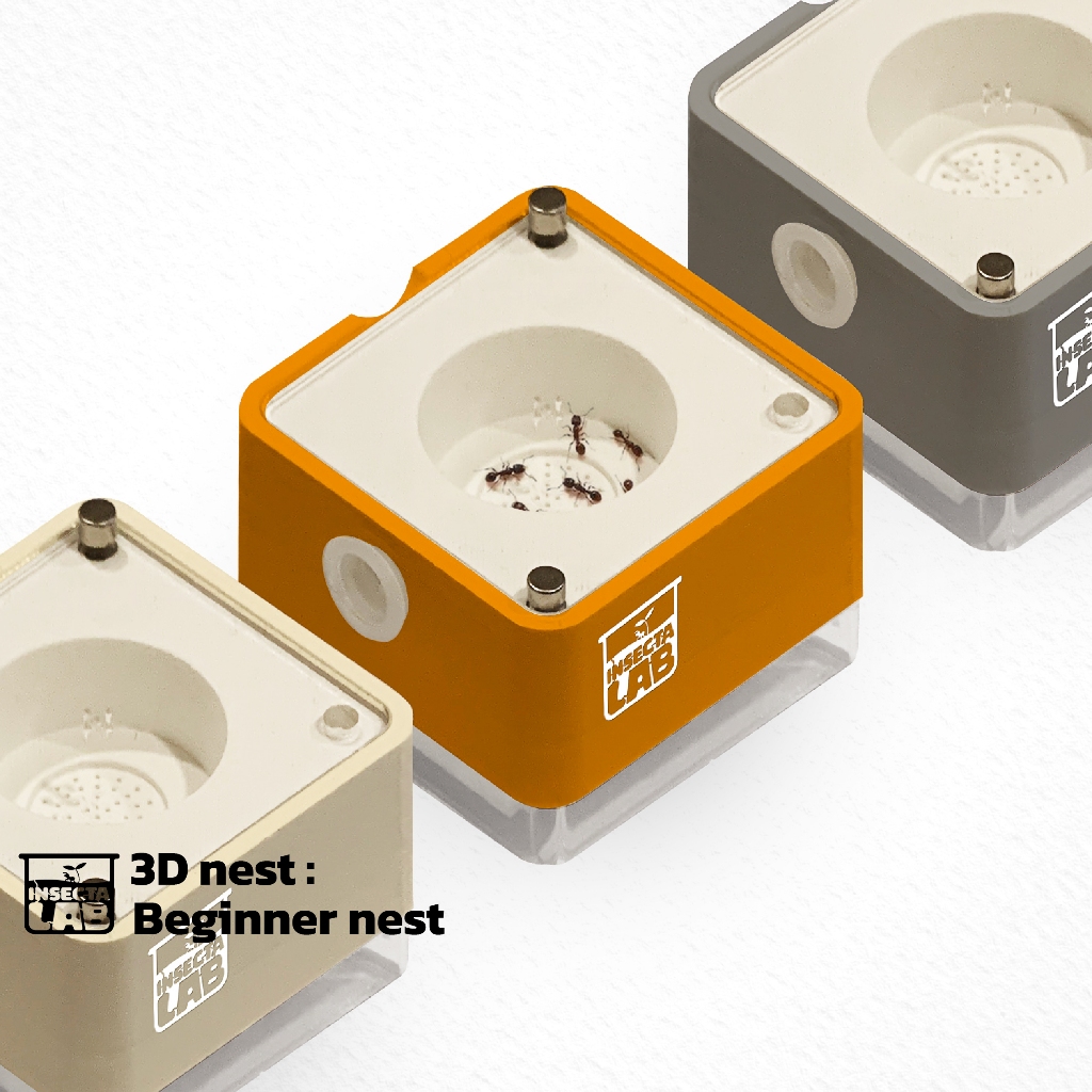 รังมดพิมพ์สามมิติ รุ่นบีกินเนอร์ (3D nest : Beginner nest)