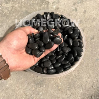 หินดำเงาบาหลี หินธรรมชาติ ขนาด 15-20 mm.