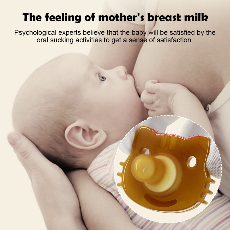 รูปภาพ 5