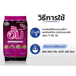 ขนาด 1 กก. อั้ม เทพวัฒนา หรือ Unique MegaPowder เป็นสารปรับปรุงผล ที่ช่วยพัฒนาขนาดผล ลดการแตกใบอ่อน