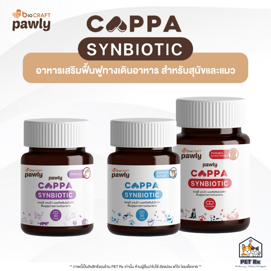 CAPPA : Synbiotic [แท้💯] อาหารเสริมแอคทีฟซินไบโอติก ช่วยฟื้นฟูทางเดินอาหารสำหรับสุนัขและแมว ชนิดแคปซ