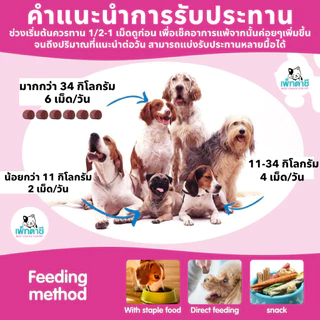 Worafy Flea & Tick กำจัด เห็บ หมัด เหา พยาธิ พยาธิตัวตืด พยาธิแส้ม้า ไข่แมลงวัน รวมถึงปรสิตอื่นๆ