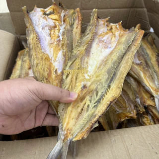 ถูกมาก‼ ปลาช่อนทะเล🐟ปลาจิ๊กโก๋ ไม่เค็มมาก ทำสดใหม่ แห้งมาก ปลาแห้ง
