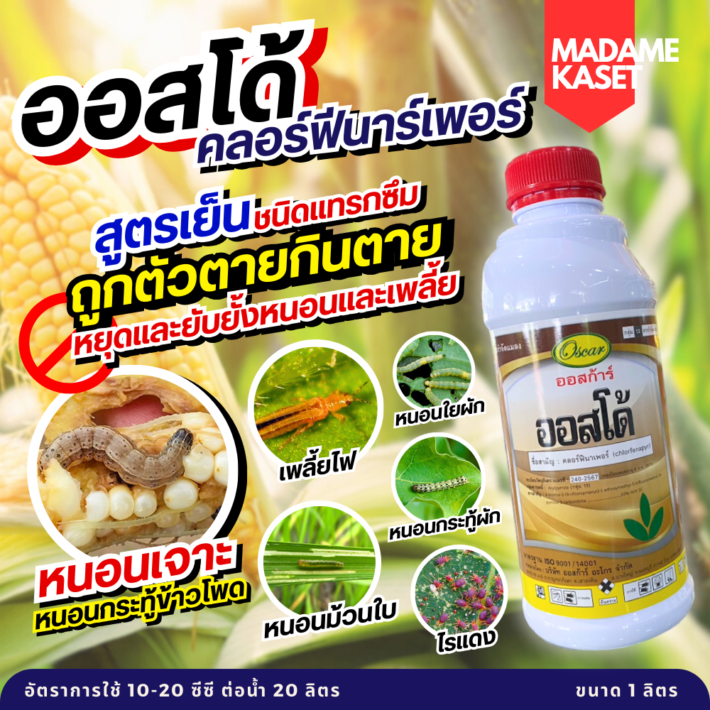 ใหม่! ออสโด้ (คลอร์ฟีนาเพอร์) 10% SC ครบจบในขวดเดียว หนอน เพลี้ยไฟ ไรแดง สูตรเย็น ชนิดแทรกซึม (1 ลิตร)