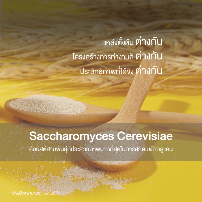 YOUR(ยัวร์)เบต้ากลูแคน Saccharomyces1,3/1,6D ขนาด 60 แคปซูล และ ยัวร์ ฮอร์ธอรน์ โคคิวเท็น 60 แคปซูล - รูปที่ 3