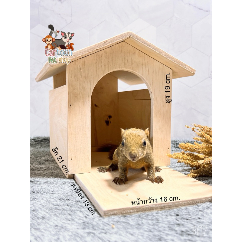 บ้านไม้ มีชานระเบียง สำหรับกระรอก ชูการ์ไรเดอร์ นก