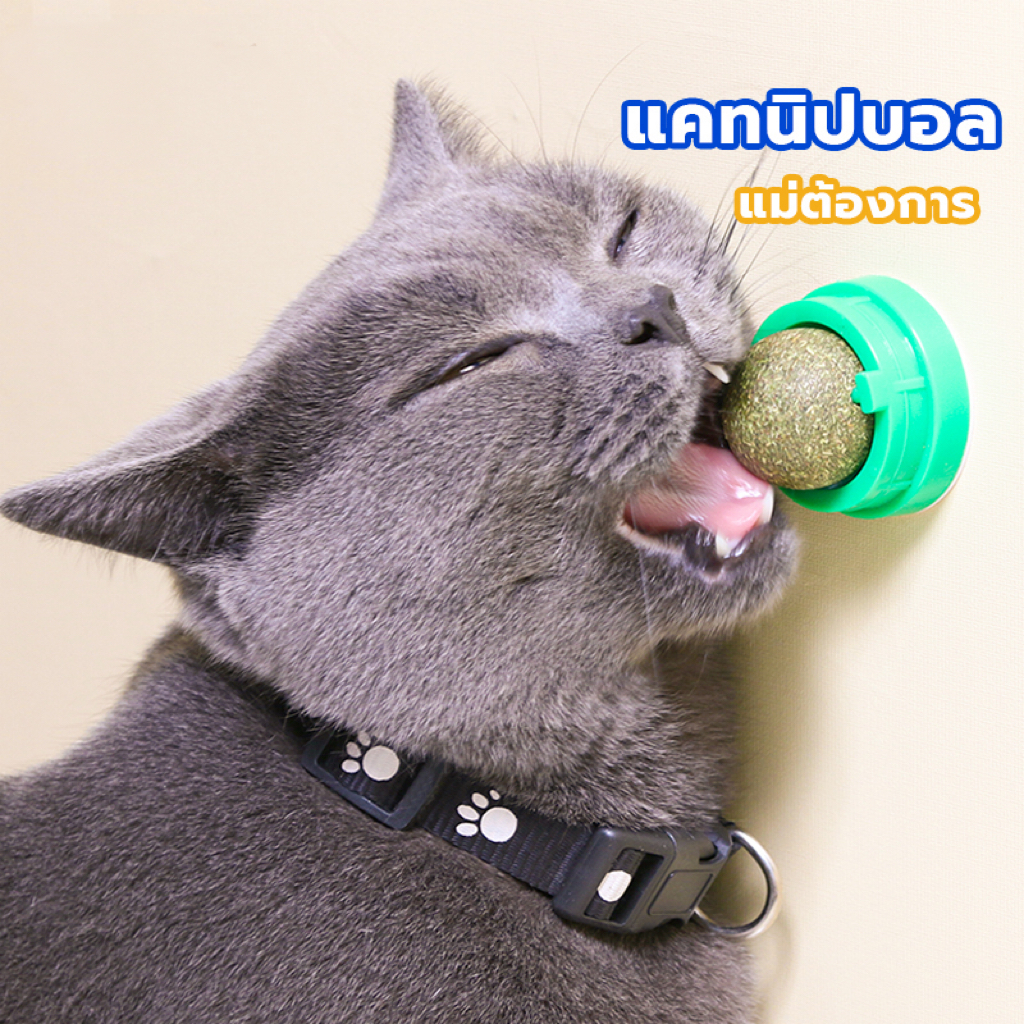 แคทนิปบอล Catnip Ball ขนมแมว ของเล่นแมวเลีย แปะกำแพง