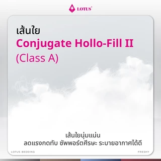 LOTUS หมอนข้างใยสังเคราะห์ รุ่น Freshy