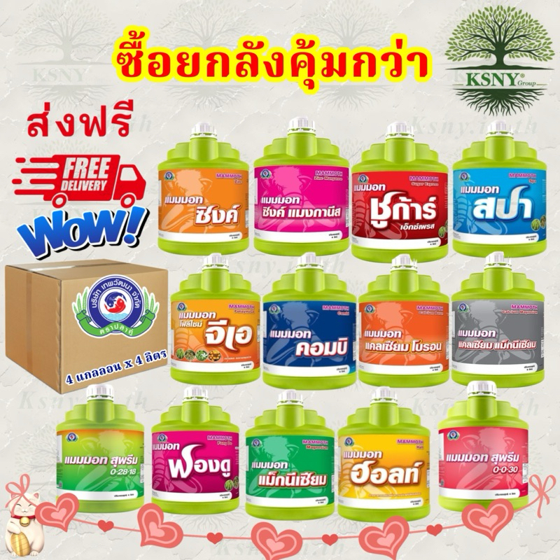 แมมมอท ยกลัง 4 แกลลอน(ส่งฟรี) สุดคุ้ม ฟองดู,ซิงค์,แม็กนีเซียม,แคลเซียมโบรอน,คอมบิ,จีเอ,สปา,ฮอลท์,แคลเซียมแม็กนีเซียม
