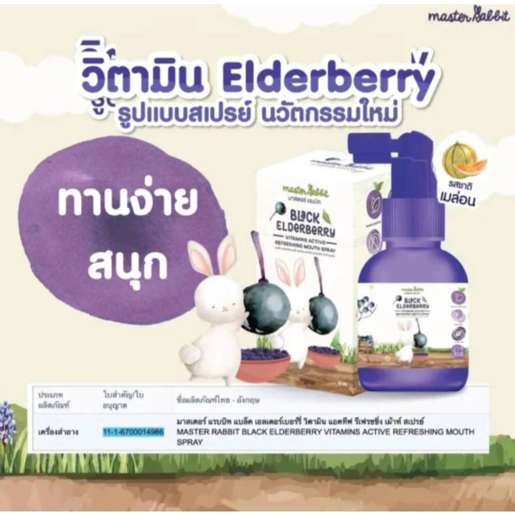 วิตามินสเปรย์ สำหรับเด็ก Master Rabbit Black Elderberry Vitamins Active Refressing Mouth Spray