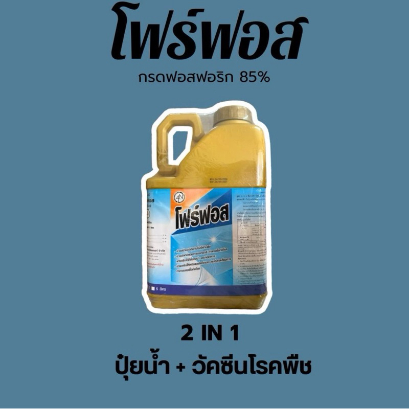 โฟร์ฟอสขนาด 5 ลิตรปุ๋ยน้ำ+วัคซีน 2 in 1 ในขวดเดียว(เหลือลิตรละ 358.-)