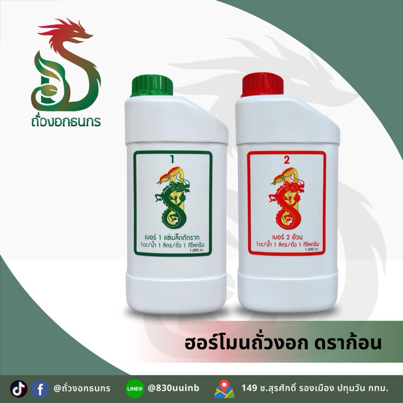 GOLD DRAGON!! โกลด์ดราก้อน สินค้าสำหรับถั่วงอก ฮอร์โมนยี่ห้อโกลดราก้อน เขียว-แดง เพื่อต้นถั่วงอก