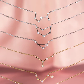 Petite Zodiac Necklace สร้อยคอชาร์มราศี