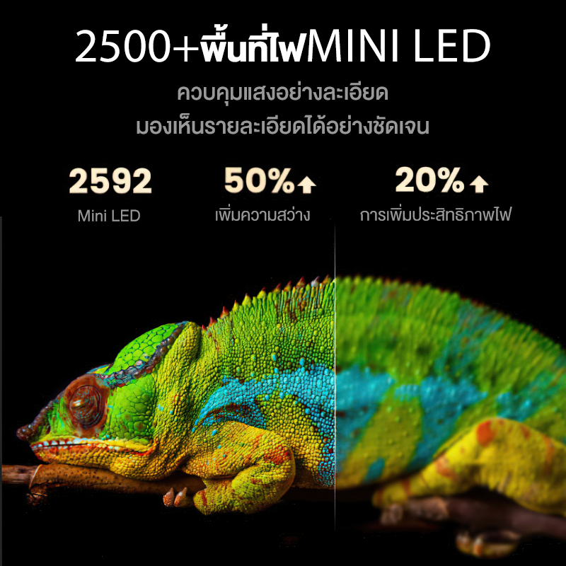 รูปภาพ 8