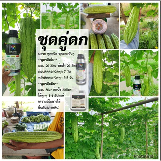 น้ำหมัก แสนงาม ชุดคู่ดก สุดคุ้ม [ฉีดใบ 1ลิตร + ฉีดดิน 1ลิตร] 980บาท สมบูรณ์ตั้งแต่รากถึงยอด