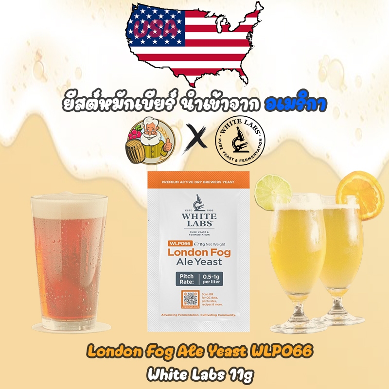 [White Labs] ยีสต์หมักเบียร์ London Fog Ale Yeast® WLP066 White Labs 11g #ทำเบียร์ #Beer