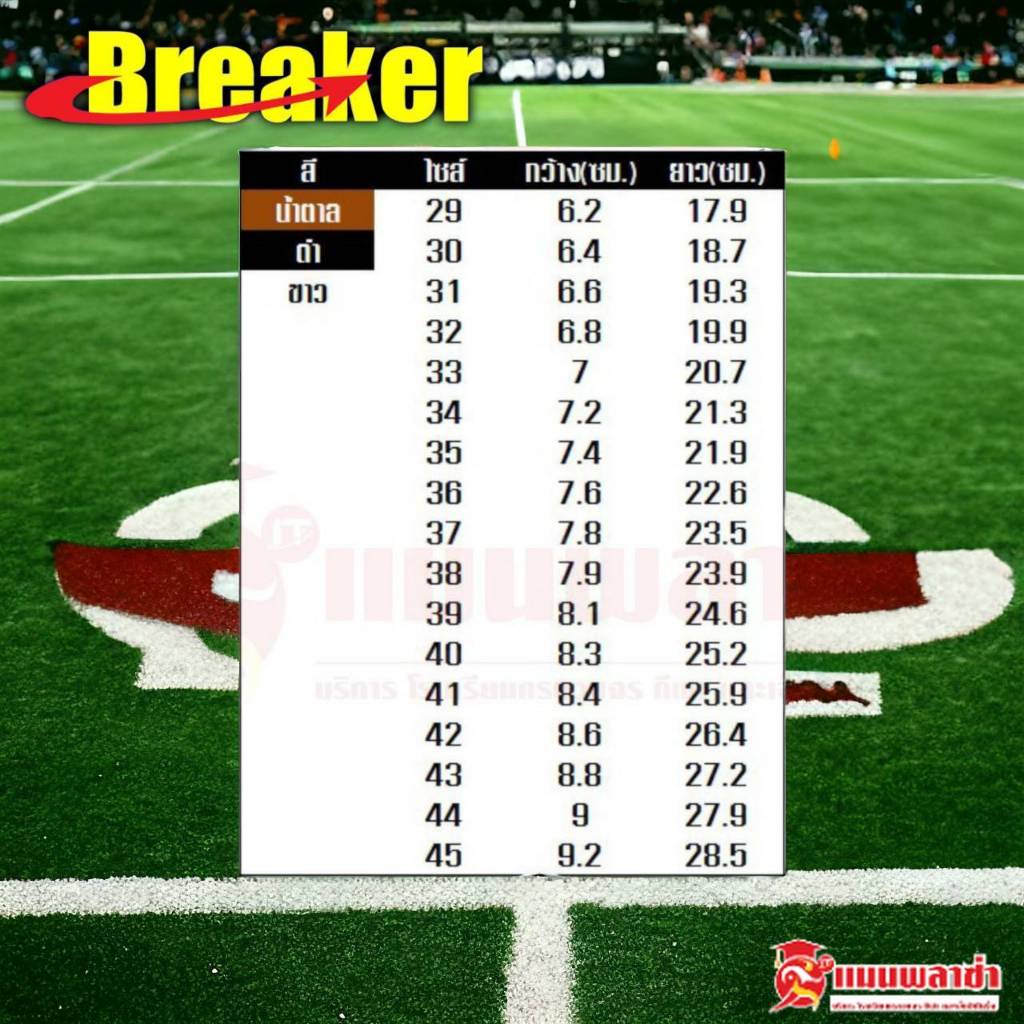 รูปภาพ 8