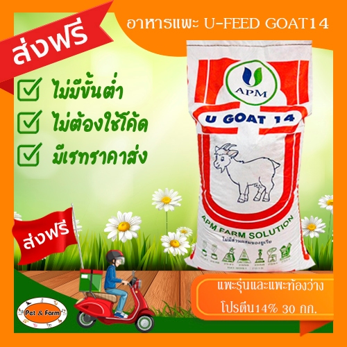 อาหารแพะ สำหรับแพะรุ่น แพะขุน และแพะท้องว่าง U-FEED GOAT14 ขนาด 30 กก. ส่งฟรี