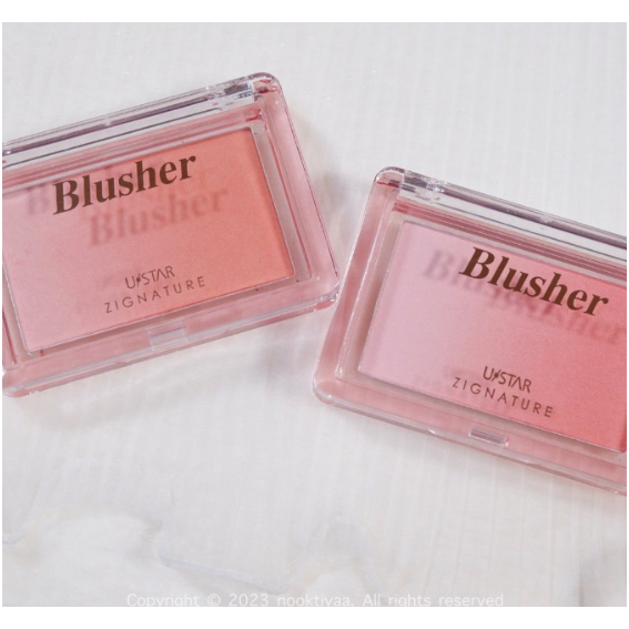 USTAR ZIGNATURE MAXX COVER MULTI BLUSHER บลัชออน ไล่เฉดสี ในตลับเดียว