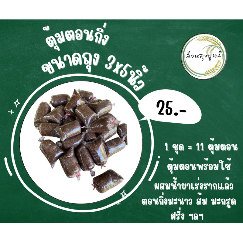 ตุ้มตอนกิ่ง (ขุยมะพร้าวผสมน้ำยาเร่งราก) 10 ฟรี 1
